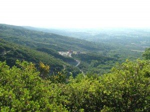 DSCF1272 (1)